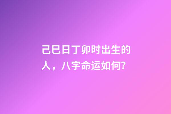 己巳日丁卯时出生的人，八字命运如何？