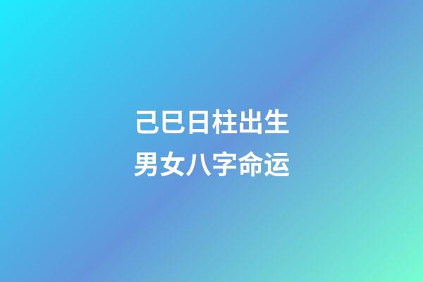 己巳日柱出生男女八字命运