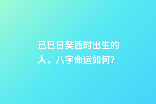 己巳日癸酉时出生的人，八字命运如何？