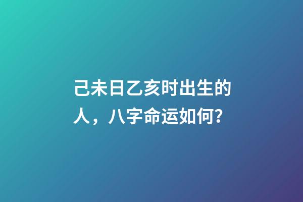己未日乙亥时出生的人，八字命运如何？
