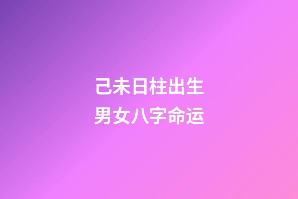 己未日柱出生男女八字命运