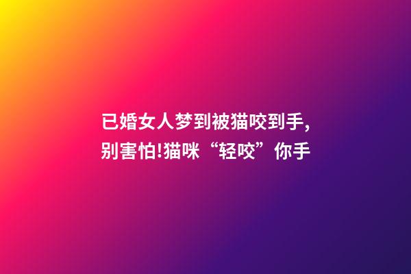 已婚女人梦到被猫咬到手,别害怕!猫咪“轻咬”你手-第1张-观点-玄机派