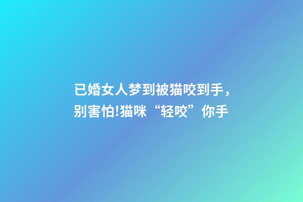 已婚女人梦到被猫咬到手，别害怕!猫咪“轻咬”你手-第1张-观点-玄机派