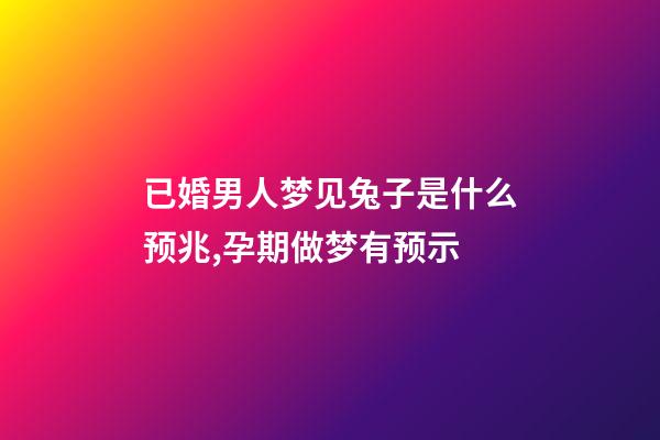已婚男人梦见兔子是什么预兆,孕期做梦有预示-第1张-观点-玄机派
