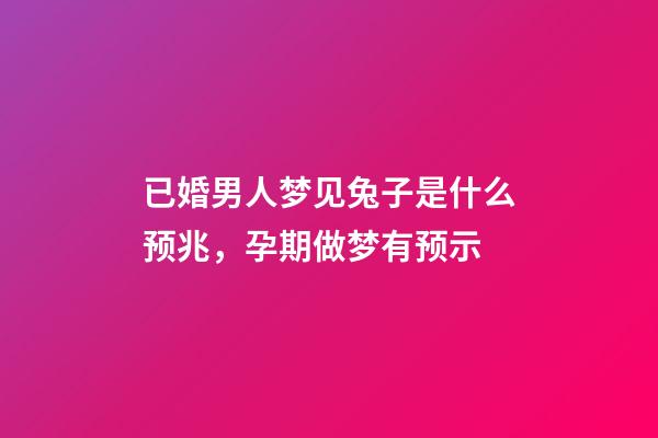 已婚男人梦见兔子是什么预兆，孕期做梦有预示-第1张-观点-玄机派