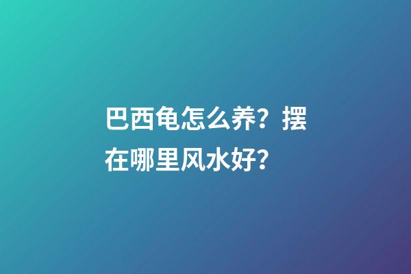 巴西龟怎么养？摆在哪里风水好？