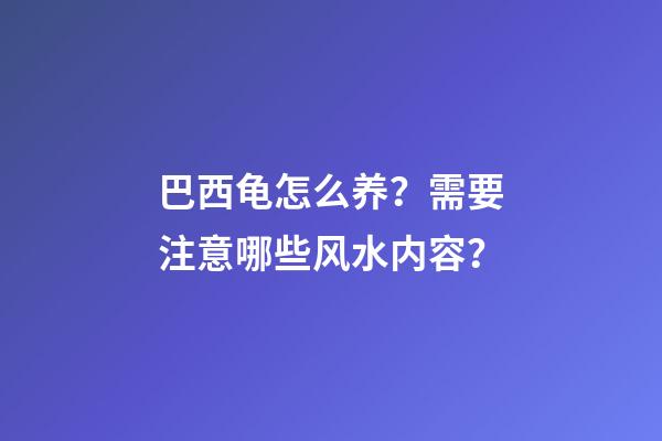巴西龟怎么养？需要注意哪些风水内容？