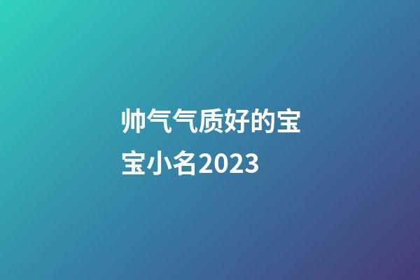 帅气气质好的宝宝小名2023