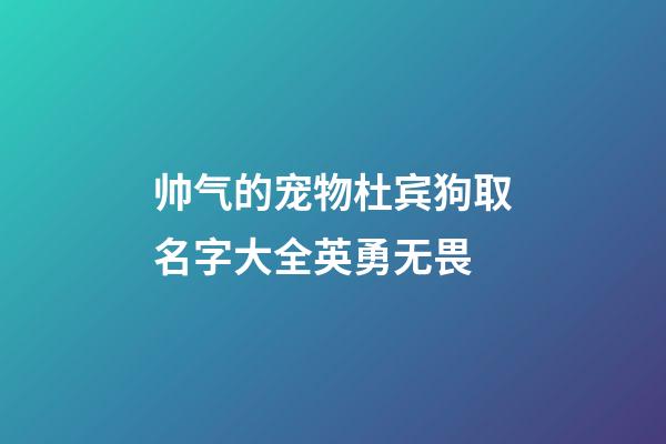 帅气的宠物杜宾狗取名字大全英勇无畏