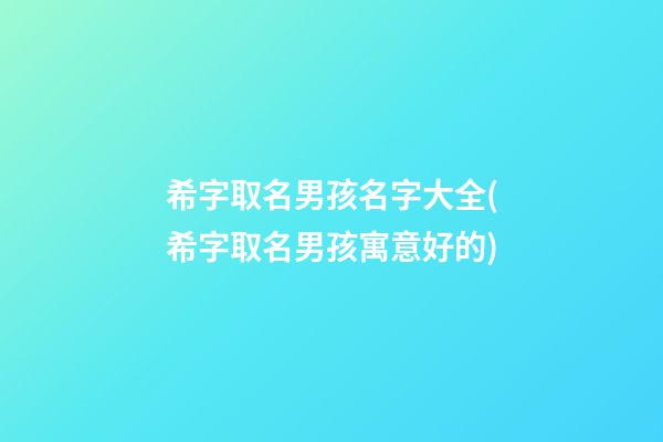 希字取名男孩名字大全(希字取名男孩寓意好的)