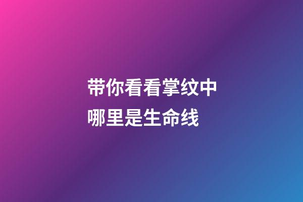 带你看看掌纹中哪里是生命线