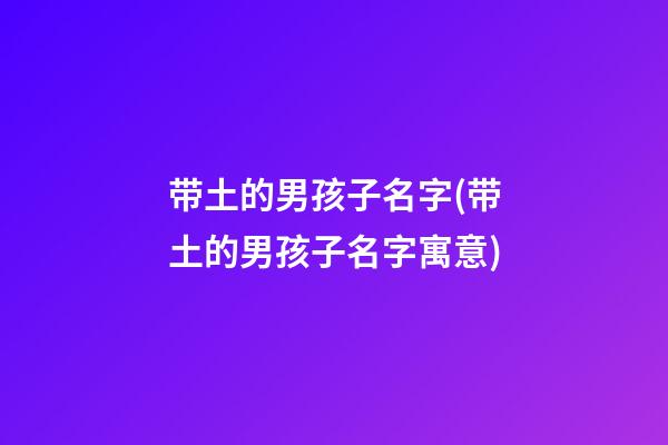 带土的男孩子名字(带土的男孩子名字寓意)