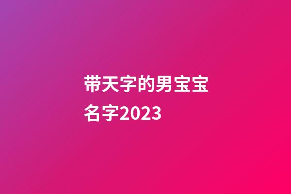 带天字的男宝宝名字2023