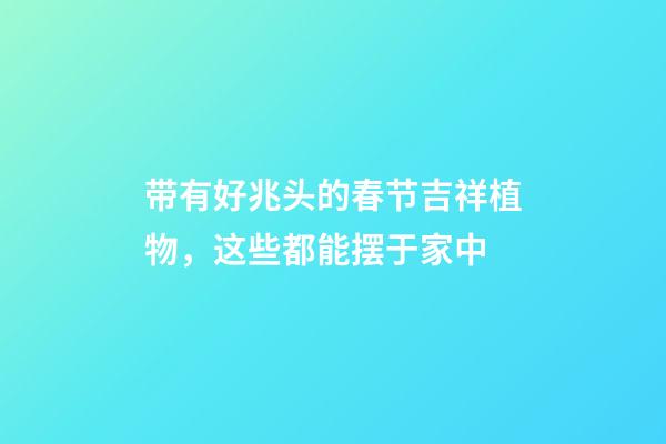 带有好兆头的春节吉祥植物，这些都能摆于家中