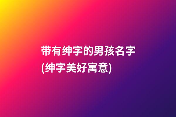 带有绅字的男孩名字(绅字美好寓意)
