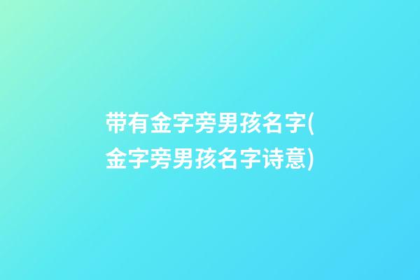 带有金字旁男孩名字(金字旁男孩名字诗意)