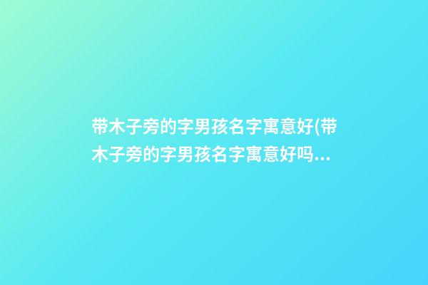 带木子旁的字男孩名字寓意好(带木子旁的字男孩名字寓意好吗)