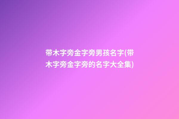 带木字旁金字旁男孩名字(带木字旁金字旁的名字大全集)