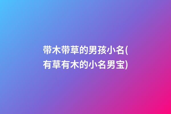 带木带草的男孩小名(有草有木的小名男宝)