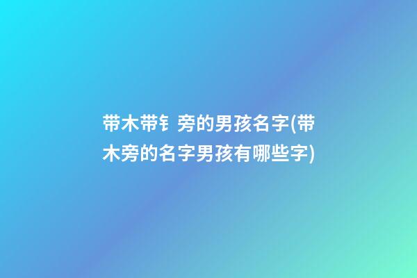 带木带钅旁的男孩名字(带木旁的名字男孩有哪些字)
