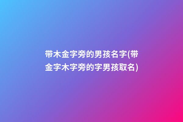 带木金字旁的男孩名字(带金字木字旁的字男孩取名)