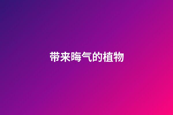 带来晦气的植物