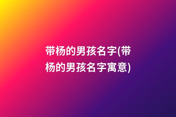 带杨的男孩名字(带杨的男孩名字寓意)