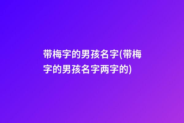 带梅字的男孩名字(带梅字的男孩名字两字的)
