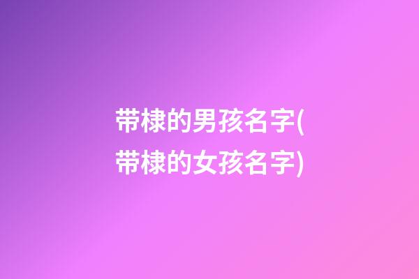 带棣的男孩名字(带棣的女孩名字)