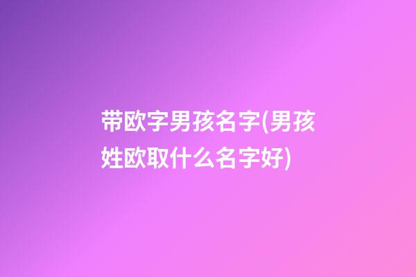 带欧字男孩名字(男孩姓欧取什么名字好)
