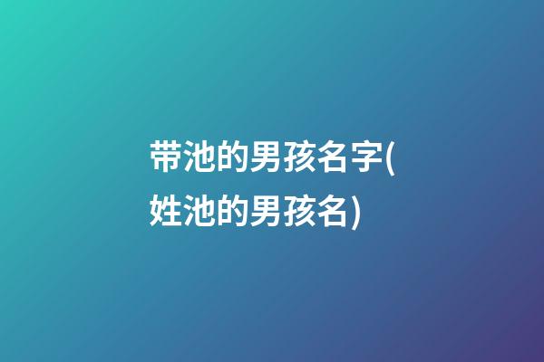 带池的男孩名字(姓池的男孩名)