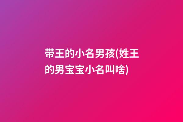带王的小名男孩(姓王的男宝宝小名叫啥)