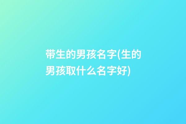 带生的男孩名字(生的男孩取什么名字好)