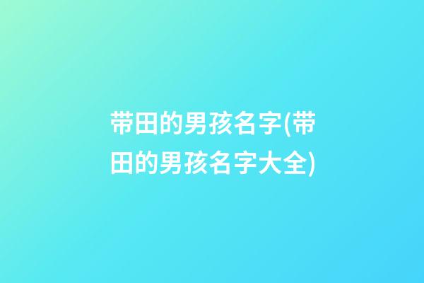 带田的男孩名字(带田的男孩名字大全)