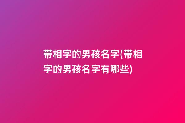 带相字的男孩名字(带相字的男孩名字有哪些)