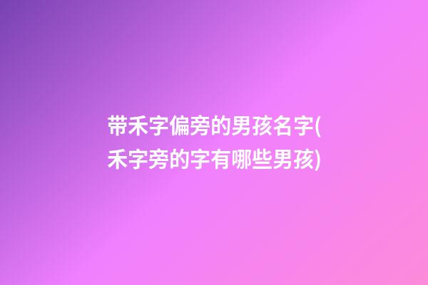 带禾字偏旁的男孩名字(禾字旁的字有哪些男孩)