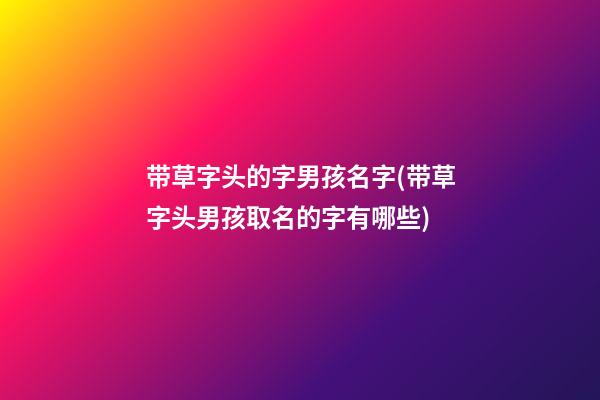 带草字头的字男孩名字(带草字头男孩取名的字有哪些)