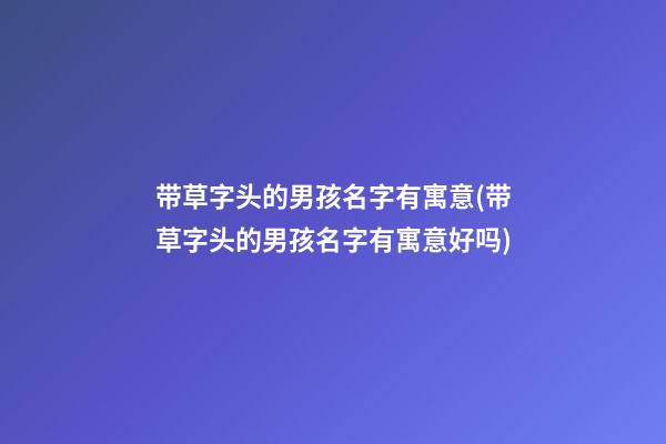 带草字头的男孩名字有寓意(带草字头的男孩名字有寓意好吗)
