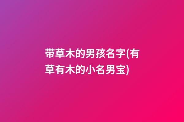 带草木的男孩名字(有草有木的小名男宝)