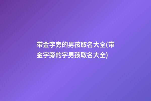 带金字旁的男孩取名大全(带金字旁的字男孩取名大全)