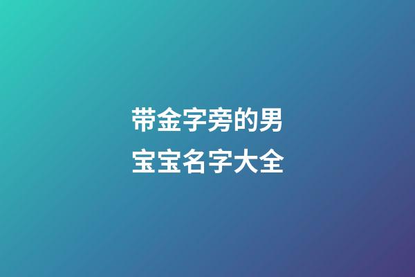 带金字旁的男宝宝名字大全