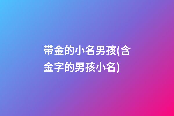 带金的小名男孩(含金字的男孩小名)