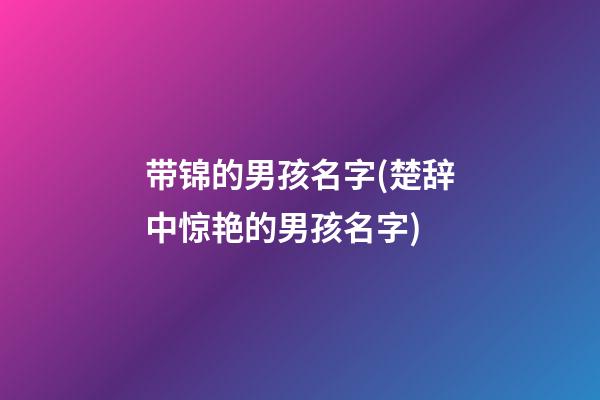 带锦的男孩名字(楚辞中惊艳的男孩名字)