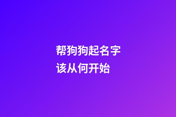 帮狗狗起名字该从何开始