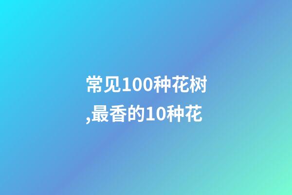 常见100种花树,最香的10种花-第1张-观点-玄机派