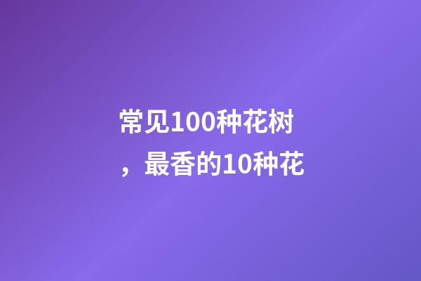 常见100种花树，最香的10种花-第1张-观点-玄机派