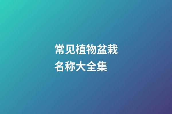 常见植物盆栽名称大全集