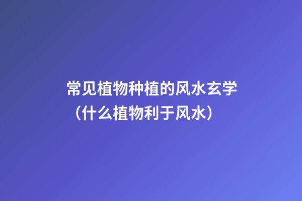 常见植物种植的风水玄学（什么植物利于风水）