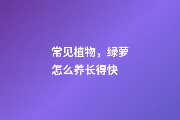 常见植物，绿萝怎么养长得快
