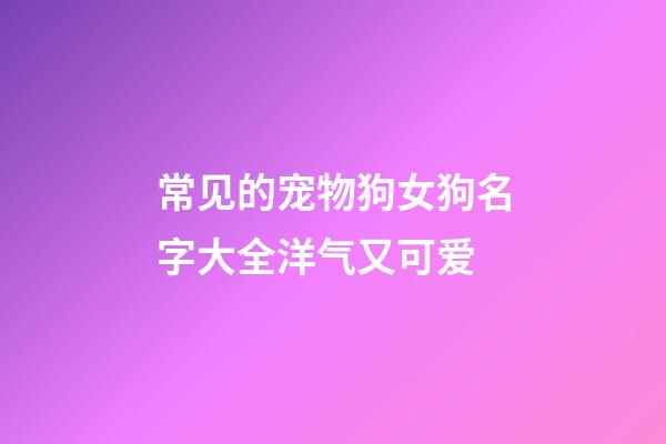 常见的宠物狗女狗名字大全洋气又可爱